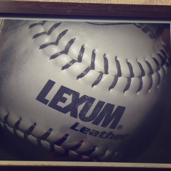 Framed Lexum leather picture - Picture 1 of 1